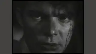 Шамшурина  Е.А. 