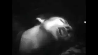 Dead Boys - Caught with the Meat in Your Mouth [Live]