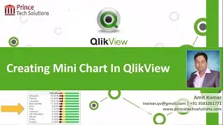 QlikView Tutorial | Creating Mini Chart In QlikView for intuitive reporting