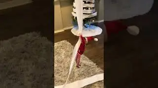 Elf Shenanigans￼