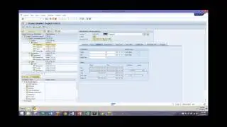 SAP Project System Scheduling