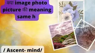Difference between image photo picture