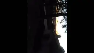 Our walk