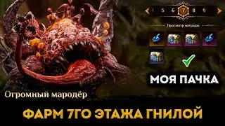 Фарм 7го Этажа Гнилой Могилы (Grave of Rot) | Моя пачка | Dragonheir: Silent Gods | Элви