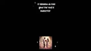 O tamanho do meu ...