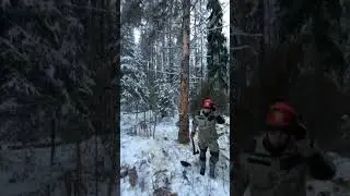 Клинья по тихонько делают своё дело