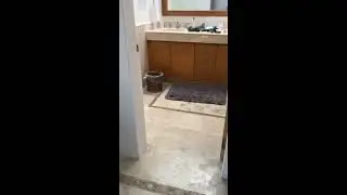 Melody periscope