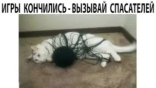 Мемы 2022 ( Тут Про100 мемы и короткие приколы с котами ) Подборка мемов 396 - Лучшие Мемы Дня