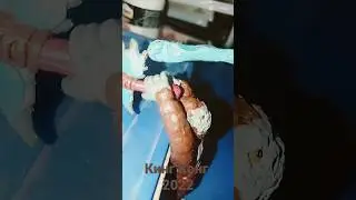 Кинг Конг из пластилина 