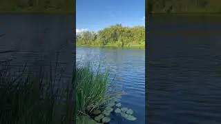 Реки Липецка, Дон