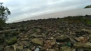 Cat Stevens en el Reserva Ecológica