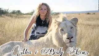 Mia i Biały Lew (Mia i White Lion)