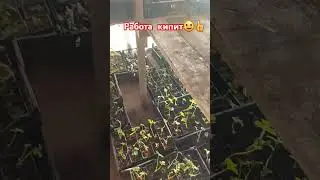Рабочие моменты 
