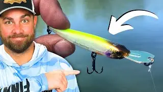 The TOPWATER Thats Missing From Your Tacklebox