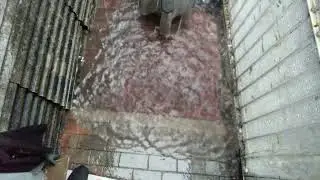 Sleep with the sound of rain // the sound of rain while sleeping