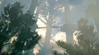 D&D: Heroes Soundtrack 14 Treetops