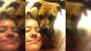 Cane Kisses