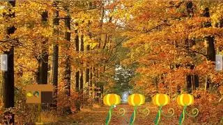 Thanksgiving Fall Forest Escape video walkthrough