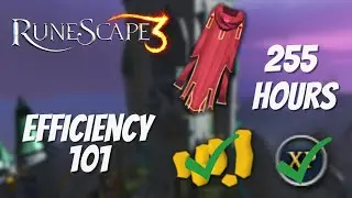 Efficiency 101 - How to MAX in under 300 hours
