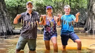 Bank Fishing for Bluegill and Sunfish! This Little Bayou was Loaded! (Catch, Clean & Cook)