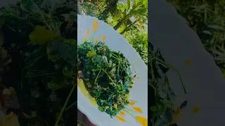 എളുപ്പത്തിൽ ഒരു മുരിങ്ങയില തോരൻ!! Drumstick leaves Thoran!! Muringayila Thoran!! #abhiscafe
