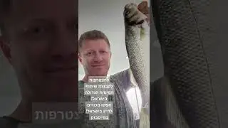 להצטרפות לקבוצת תפיסות הדייג הגדולה בישראל! חפשו מכורים לדייג בישראל בפייסבוק  