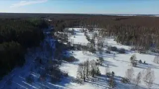 Бывшая деревня Винокурово и лесная дорога в Зобенки, Яранский район, Кировская область