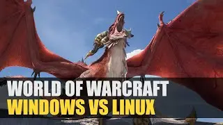 World of Warcraft: Dragonflight | Windows vs Linux | Directx 12 vs VKD3D | DirectX 11 vs DXVK