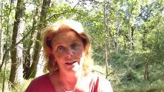 Ontdek de Kracht van Kruiden! 🌿 Gratis Online Sessie op 13 september 2024