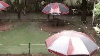 Mystic Rain sound in Dhaka। ঢাকায় তীব্র গরমে স্বস্তির বৃষ্টি