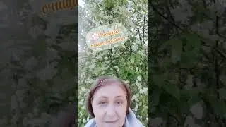 Против аллергии.                     Сибирское здоровье