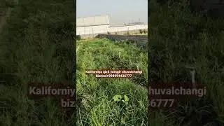 chuvalchanglarni fantanchik bilan sug'arish jarayoni
