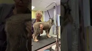 Damage Control #7 Karma caught up!