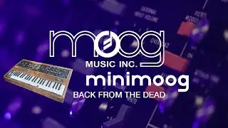 Restored Minimoog Model D - the Original Analog Synthesizer Back from the Dead!