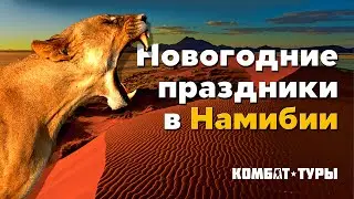 ПРЕДПРИНИМАТЕЛИ и ТОП-МЕНЕДЖЕРЫ отправляются в НАМИБИЮ за впечатлениями и нетворкингом | Комбат-туры