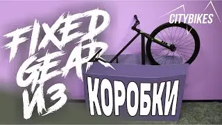 FIXED GEAR OUT OF THE BOX. Poloandbike CMNDR