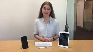 Mainstream Devices from Mac & PC Doctors