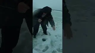 Судак на жерлицу ) 