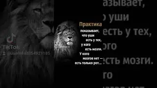 19 января 2023 г.