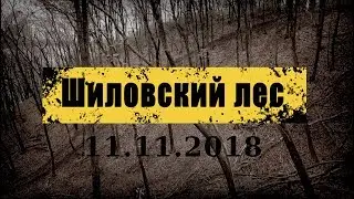 Шиловский лес 2018 