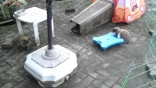 14 augustus 2011 18:08