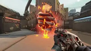 "PRIMORDIUM" Skin Bundle Finisher In VALORANT