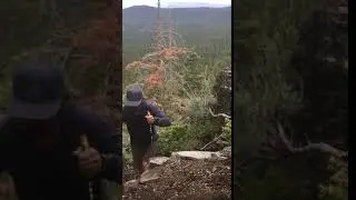 Running Uphill with Leki Poles