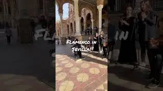 Exquisite #flamenco dancer and #musicians in Sevilla, #Spain! #andalusia #dancing #sevillanas
