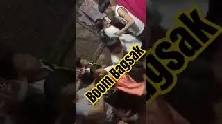 Bagsak|||Foolish Heart Tv