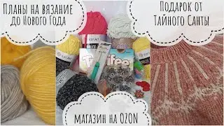 Магазин на OZON // Планы до Нового Года // Подарок от Тайного Санты