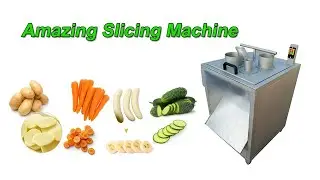 Potato Carrot Slicer Cutter | Vegetable Slicing Machine