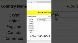 How to add bullet points in MS Excel 