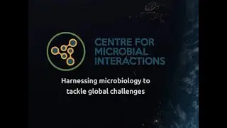 Centre for Microbial Interactions