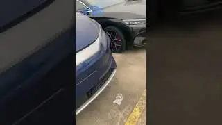 byd song plus ev, byd han ev, byd tang